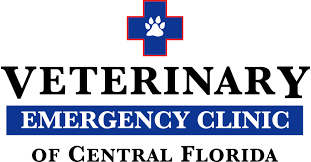 Central Florida Vet logo 